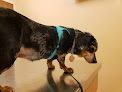 Pet boarding services Animal Medical Clinic P.c. in Huntsville in Alabama