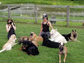 Pet boarding services Animal Resorts in Downingtown in Pennsylvania
