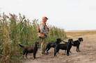 Pet boarding services Antelope Lake Retrievers in Webster in South Dakota
