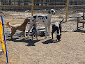 Pet boarding services Arks Pet Academy And Resort in Flora in Mississippi