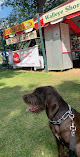 Pet boarding services Armstrong Ranch Kennels in Ramsey in MN