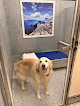 Pet boarding services Around The World Pet Resort in Griffin in GA