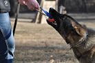 Pet boarding services Artex Hills Kennels, Llc in Texarkana in Arkansas