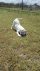 Pet boarding services At-home Kennels in Tucson in Arizona