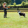 Pet boarding services Atlanta Dogworks in Ball Ground in GA