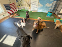 Pet boarding services Auburn Leach K9 Academy in Stuarts Draft in Virginia