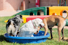 Pet boarding services Az Canine Center in Mesa in Mesa, AZ
