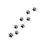 Pet boarding services Az Mama Bear Pet Care in Phoenix in Arizona