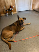 Pet boarding services B & B Boarding in Camp Hill in Alabama
