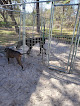 Pet boarding services Backyard Boarding Llc in Crystal River in FL