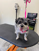 Pet boarding services Bad To The Bone Boarding & Grooming in Leavenworth in Kansas