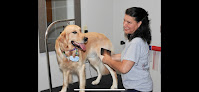 Pet boarding services Bakers Farm Kennel & Grooming in Morgantown in West Virginia