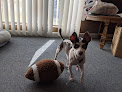 Pet boarding services Bambis Army - Rescue Of K9's in Parlier in CA
