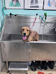 Pet boarding services Bark & Bubbles in East Machias in Maine