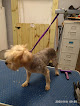 Pet boarding services Bark City in Baton Rouge in Louisiana