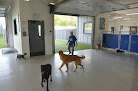 Pet boarding services Bark Club in Gretna in Nebraska