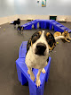 Pet boarding services Bark Life Market-pet Boarding-grooming & Daycare in Seminole in Pinellas