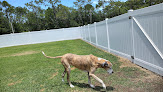 Pet boarding services Bark N Purr Kennels in New Smyrna Beach in FL