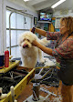 Pet boarding services Bark Place Hotel & Pet Grooming in Largo in Pinellas