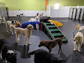 Pet boarding services Bark & Roll in Chantilly in Virginia