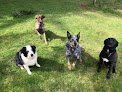 Pet boarding services Bark Run Play Dog Boarding And Daycare in Washougal in Washington