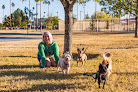 Pet boarding services Bark23 Dog Sitting & Care in Phoenix in Arizona