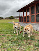 Pet boarding services Barkenhowl Pet Resort in Sevierville in Sevier