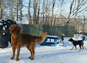 Pet boarding services Barker Brook Kennels in Bethel in Maine