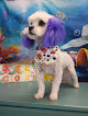 Pet boarding services Barking Beauties in Fresno in CA