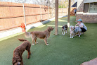 Pet boarding services Barking Hound Village - Dallas in Dallas in Dallas