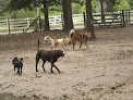 Pet boarding services Barkingham Palace in Lacombe in Louisiana