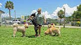 Pet boarding services Barkingham Palace in Rockledge in FL