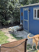 Pet boarding services Barkingham Place - Dog Daycare And Boarding in Austin in Travis