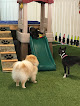 Pet boarding services Barks And Purrs Pet Daycare And More in Honolulu in HI