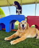 Pet boarding services Barks & Rec Boarding in Mooresville in Iredell