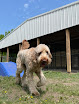 Pet boarding services Barks & Rec - Lakeville (previously Vermillion Kennels) in Lakeville in MN