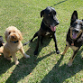 Pet boarding services Barksbnb in Bradenton in Manatee