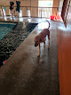 Pet boarding services Barley's Canine Recreation Center in Salt Lake City in Salt Lake