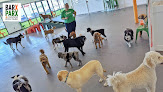 Pet boarding services Barx Parx in Las Vegas in Nevada