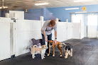 Pet boarding services Baxter's K9 Complex in St Peters in MO