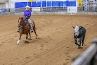 Pet boarding services Bayou Meto Stables in Jacksonville in Arkansas