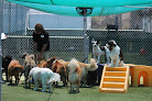 Pet boarding services Bayside Pet Resort in Sarasota in Florida