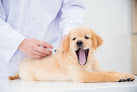 Pet boarding services Bayview Pet Medical And Dental Center in Ocean Springs in MS