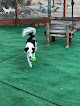 Pet boarding services Bed Bath And Biscuits Pet Resort in Flagstaff in Arizona