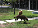 Pet boarding services Bed & Biscuit Kennels Inc in Westfield in Indiana