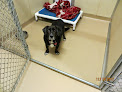 Pet boarding services Bed & Biscuit Pet Resort - Westville Indiana in Westville in Indiana