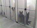 Pet boarding services Bed & Biscuit Pet Resort in Mayer in Arizona