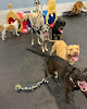 Pet boarding services Bed & Biscuits Inn, Llc in West Monroe in Louisiana