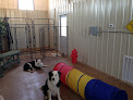 Pet boarding services Bella Luna Pet Resort in Elgin in OK