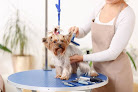 Pet boarding services Belle Aire Kennels in Downers Grove in IL